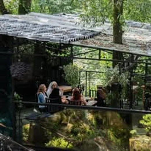 Comensales en terraza de bosque